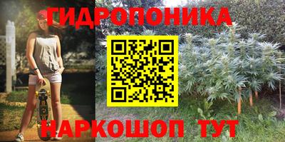 тгк Кинель